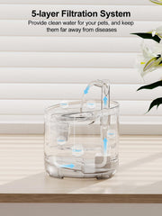 NPET WF050 dispensador de agua para perros en uso diario.