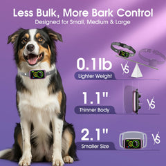 Collar NQQHNN con 7 niveles de sensibilidad para diferentes temperamentos