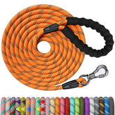 NTR correa para perro grande 100 ft, resistente y segura para paseos.