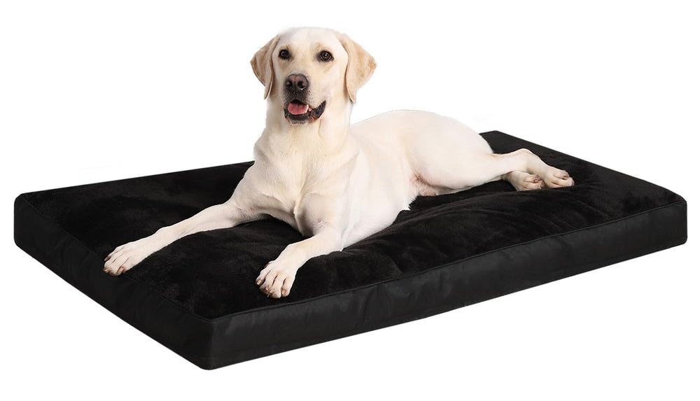 Cama-jaula para perro NUPIDA negro, descanso cómodo y seguro