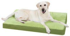 Cama para perro NUPIDA en caja impermeable, ideal para mantener al animal seco y cómodo.