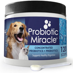 Frasco Nusentia Probioticos para perros y gatos con alta concentración para equilibrio intestinal