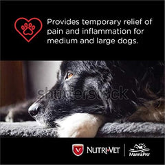 Nutri-Vet Aspirina 300 mg para perro grande, presentación para uso en casa.