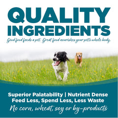 NutriSource perro adulto con pollo y arroz, tazón que destaca croquetas de tamaño uniforme.