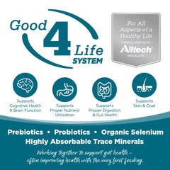 NutriSource sistema-buena-vida, beneficios probióticos para flora intestinal.
