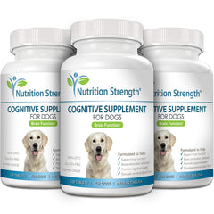 Nutrition Strength mascota en rutina cognitiva diaria, mejora la atención