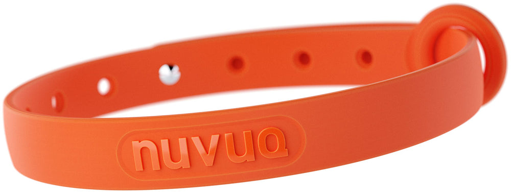 Collar Nuvuq para gato naranja con cierre de separación, seguro