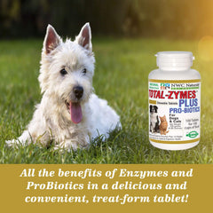 Total-Zymes Plus, tabletas-probioticas, mejora la microbiota intestinal.
