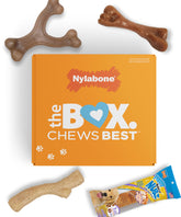 nylabone caja-regalo para cachorros con juguetes masticables que fomentan hábitos saludables.