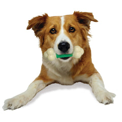 Nylabone Doble Acción, centro suave, masticación cómoda para perros medianos.