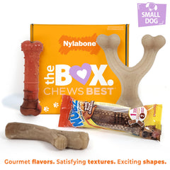 Nylabone mordedor en forma de palo, textura atractiva para masticar