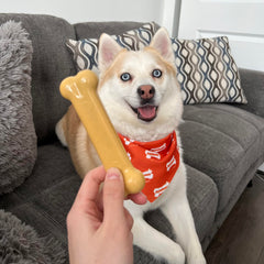 Nylabone Power Chew Hueso sabor mantequilla de cacahuete para masticación