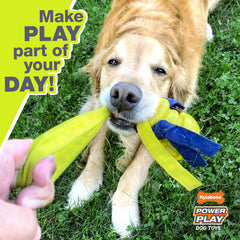 Nylabone Power Play Gripz, rebote impredecible para juego dinámico.