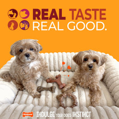 Nylabone Ring texturizado res y pollo, primer plano de masticación