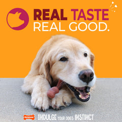 Nylabone Wishbone: limpieza dental durante la masticación