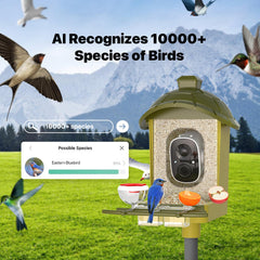 oddkont camara pajaros panoramica 140 grados vista amplia.