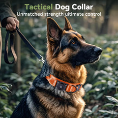 Odokele collar nylon 1000D duradero para perros activos