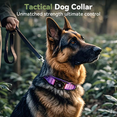 Odokele collar resistente al agua y polvo, ideal para perros activos.