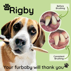 OH RIGBY base bambú biodegradable: diseño sostenible con mango cómodo y seguro.