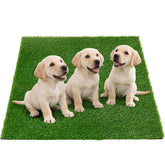 Oiyeefo alfombra de césped grande para perros con drenaje
