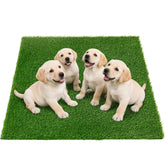 Oiyeefo césped artificial para perros grande, ideal para entrenamiento y juego interior.