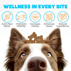 OKKÖBI Glucosamina HCL masticables sabor carne para perros