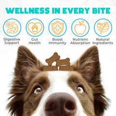 OKKÖBI probióticos para perros, ingredientes naturales para equilibrio intestinal.