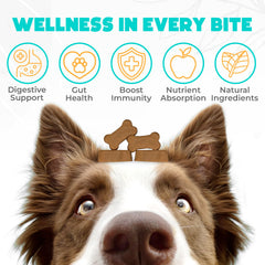 OKKÖBI Probiotics para perros, perro masticando, sabor delicioso facilita la toma