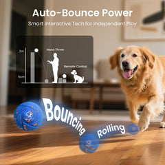 Ollapet bola con control remoto para ajustar modos de juego y mantener la atención.