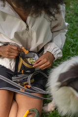 Uso manos libres: OllyDog Goodie Treat Bag en entrenamiento diario.