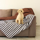 Omilu manta impermeable para perros sobre el sofá protege derrames y pelos.