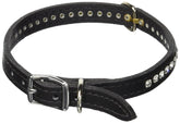 OmniPet Signature: collar de cuero con cristales para paseos elegantes y confort diario.