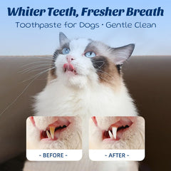 Aliento fresco de mascotas con pasta dental OMYGYM