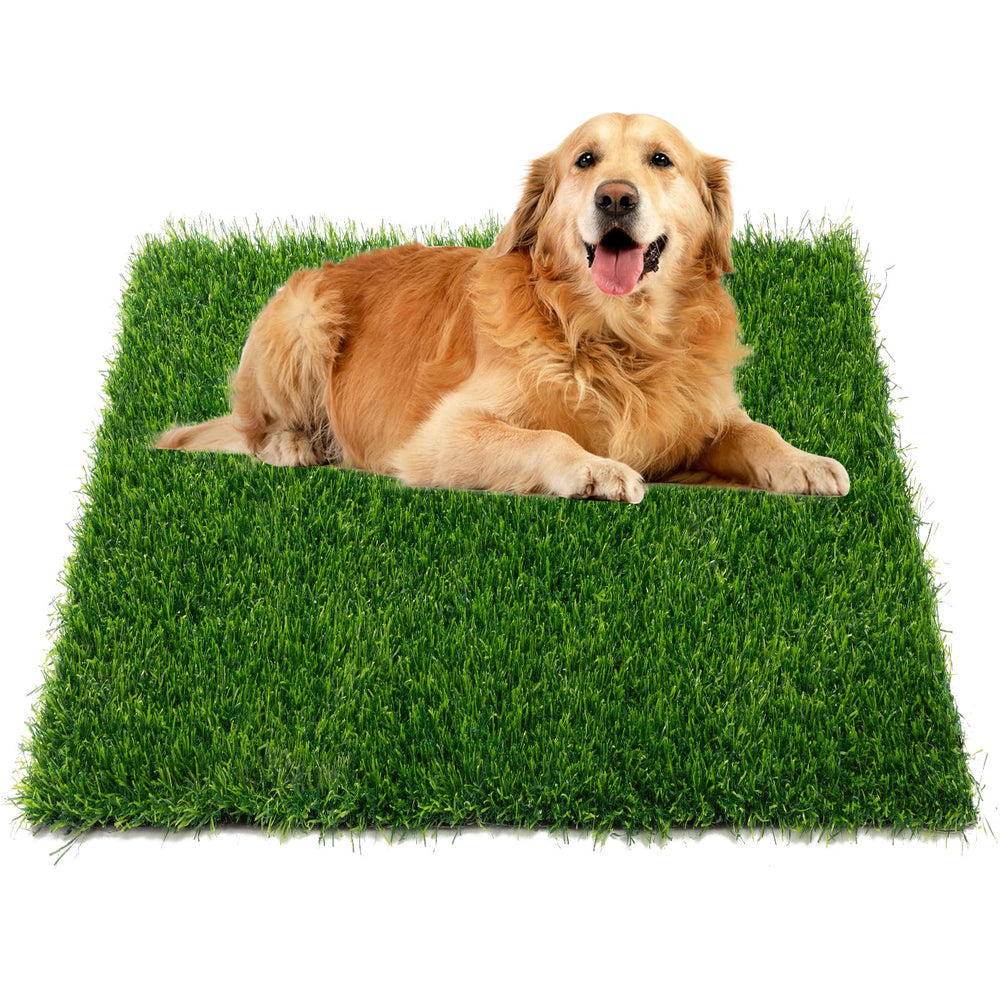 Ondware cesped artificial para perros 33x20.8 pulgadas, ideal para entrenamiento.