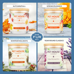 Vela de soja natural de One Fur All, sin colorantes, uso doméstico.