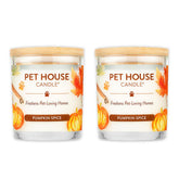 Vela One Fur All con etiqueta de calabaza y especias para perfumar el hogar.