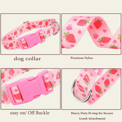 ONEFOJOJO collar hebilla rápida, fácil de poner y quitar
