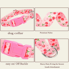 ONEFOJOJO collar de nailon duradero para perros XL con ajuste cómodo.