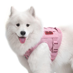 ARNES ONETIGRIS para perro, vista frontal, cómodo y ajustable para caminatas largas.