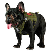 OneTigris arnés táctico para perro, vista frontal, control seguro durante paseos.