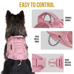 ARNES ONETIGRIS con manija superior para control rápido en tránsito.