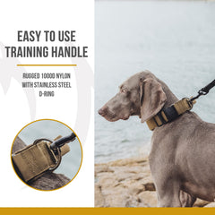 OneTigris diseño práctico para paseos y entrenamiento intensivo.