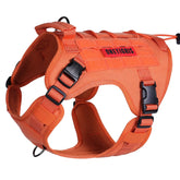 ONETIGRIS Fire Watcher 2.0: correa para perros con asa superior para control durante paseos.
