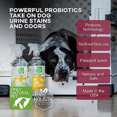 Only Natural Pet: limpiador enzymático para tapicería elimina manchas y olores