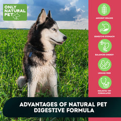 Only Natural Pet Raw Blends: bocados de carne cruda para una textura atractiva y digestión suave