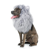 Onmygogo disfraz de león para perro con orejas, perfecto para la fiesta de disfraces.