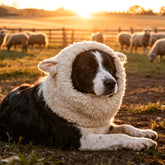 Onmygogo disfraz oveja para perro, aspecto realista para fiestas y fotos.