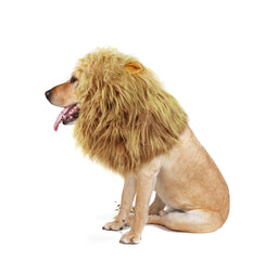 Disfraz de perro león Onmygogo con orejas, ideal para fiestas.