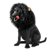 Onmygogo leon-melena-perro negro talla L, ideal para Halloween
