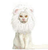 Onmygogo melena de león para gatos, vista frontal, ideal para fiestas.